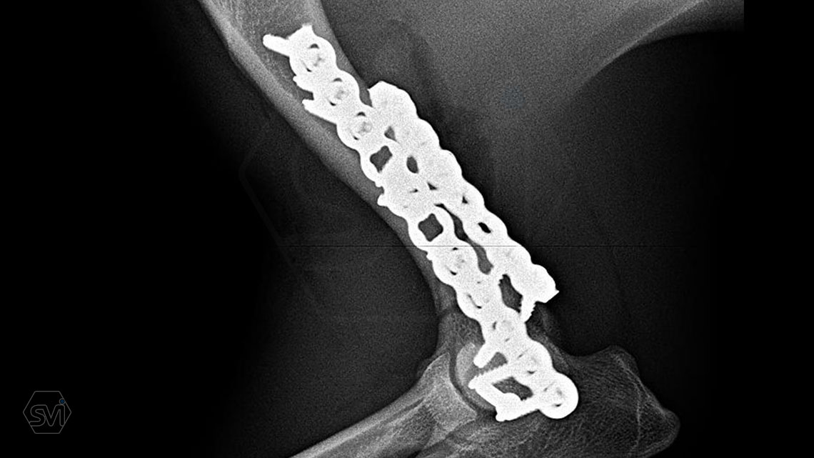 NEW! Introducing the new cutable polyaxial locking plate for 2.0/2.4mm screws. (The small Universlal Locking System, ULS)
