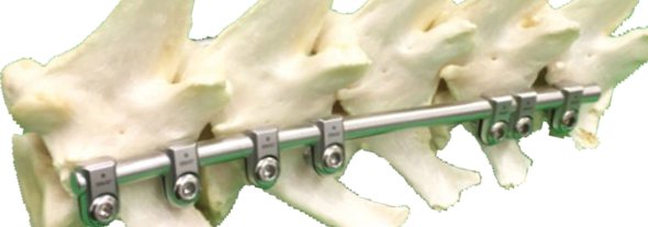 Unparalleled Versatility & Stability